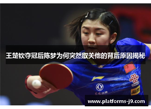 王楚钦夺冠后陈梦为何突然取关他的背后原因揭秘