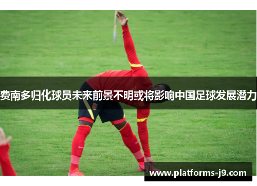 费南多归化球员未来前景不明或将影响中国足球发展潜力